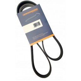 Multi-groove riem 4PK1165...