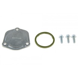 Tappo sensore olio Seat...