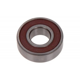 DYNAMO LAGER 6202-2RS...