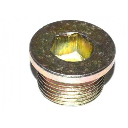DRAIN PLUG FIAT DUCATO 02...