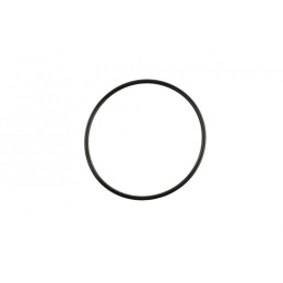 O-Ring Iveco Daily 14 17284580