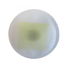 Fuel pump filter