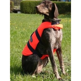 Säkerhetsväst för hund...