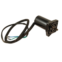 Motor de trim Yamaha fora...