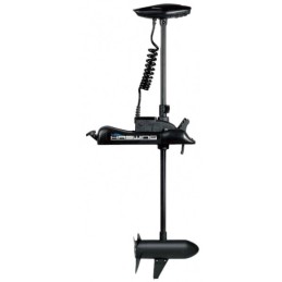 Moteur Haswing Cayman...