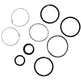 Trim Cylinder Seal Kit...