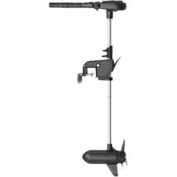 Haswing Protruar 5.0/Pulsar...