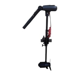 Haswing Protruar 1.0/Pulsar...
