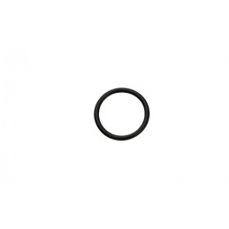 O-ring Fiat Ducato 06...