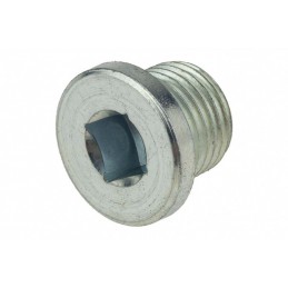 OIL PAN PLUG CITROEN...