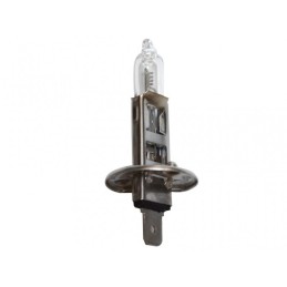 Bulb - H1 24V