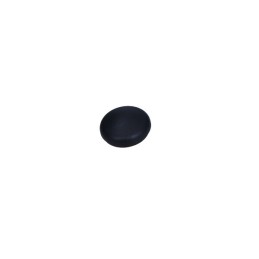 Audi A8 2010 Bolt Cover...