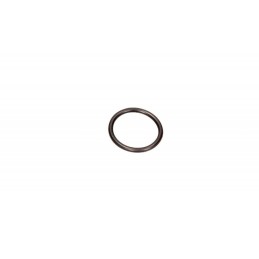 Crankcase Breather Seal DB...