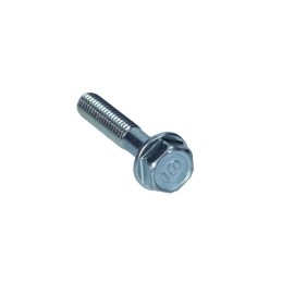 Vite flangiata 6x30 Honda...