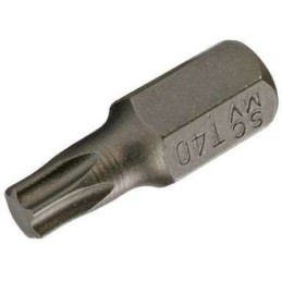 Bit 10 mm (3/8) torx T40x30 mm