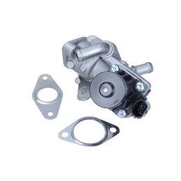 Vanne EGR Ford/Citroën
