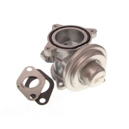 Válvula EGR Volkswagen 1.4...