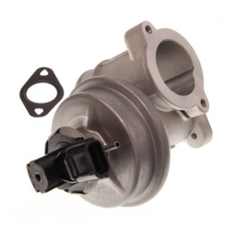 Válvula EGR Ford 2.0D...