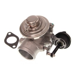 Válvula EGR Volkswagen 1.9...