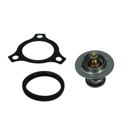Thermostaat Ford 92C 1.0...