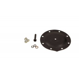 Repair Kit for Vacuum Pump...