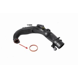 Sealing Ring for...