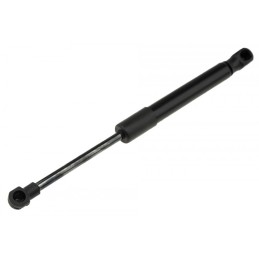 Gasveer motorkap links...