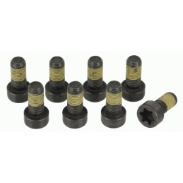 Set vliegwielbouten BMW 11...