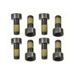 Set vliegwielbouten Ford...