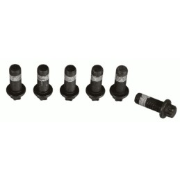 Set vliegwielbouten Ford...