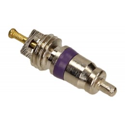 Aircocontroleklep R134a...