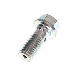 Hollebout M10x1,5,12x30,5...