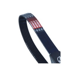 Multiriem 6PK725 39931496