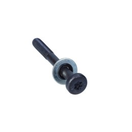 Vite cambio M6x52