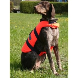 Dog Life Jacket Pupil Size...