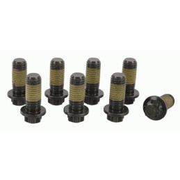 Flywheel Bolt Set Peugeot...