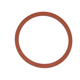 O-ring Fiat Ducato 02...