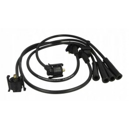 Cables de encendido Escort...