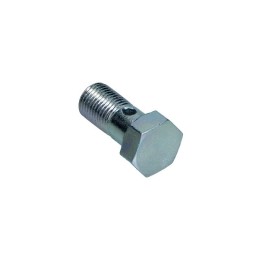 Vite cava M10x1,14x27,1...