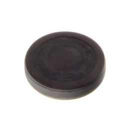 Differential mechanism plug...