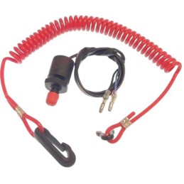 Suzuki DT 4-85HP ignition...