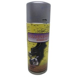 Spray Paint Honda Marine...