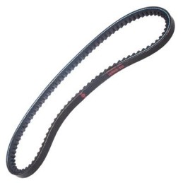 V-belt
