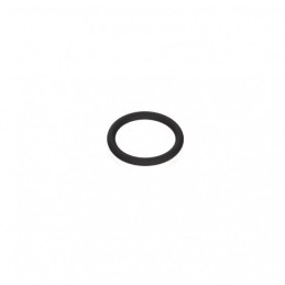 O-ring injetor Iveco Tector...