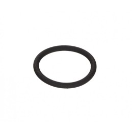 O-ring Iveco Daily 00...