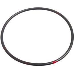 Rubber O-ring