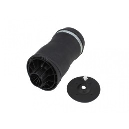 Rear Left/Right Air...