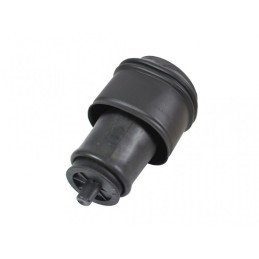 Rear air suspension spring...