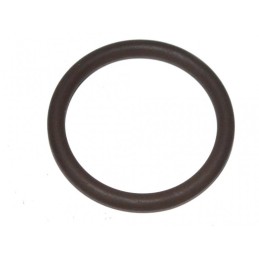 O-ring Iveco Daily 00...