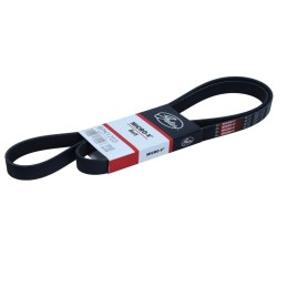 Correa poli V 6PK1703...